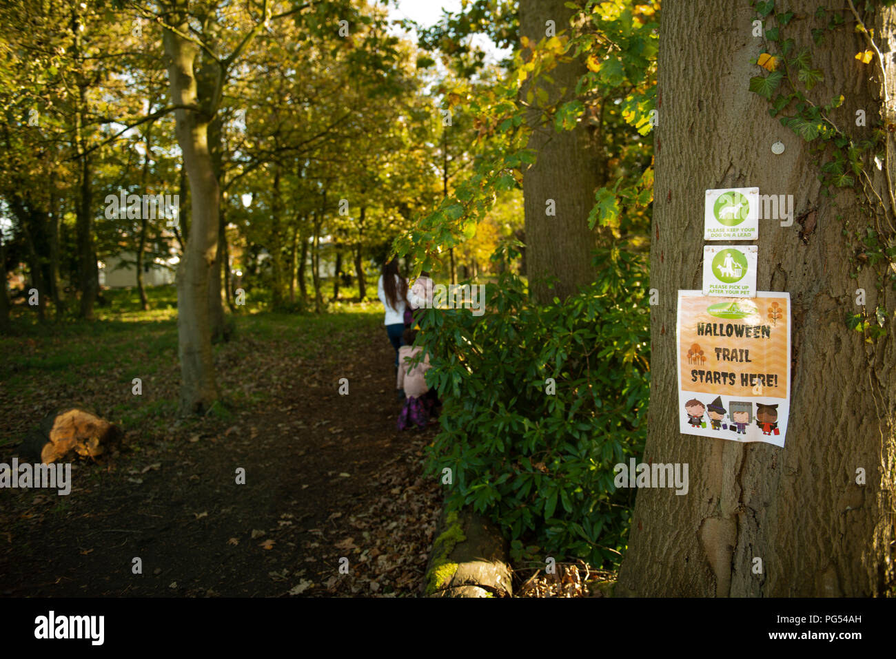 Ribby Halle Halloween Jagd. Familie Tag heraus. Stockfoto