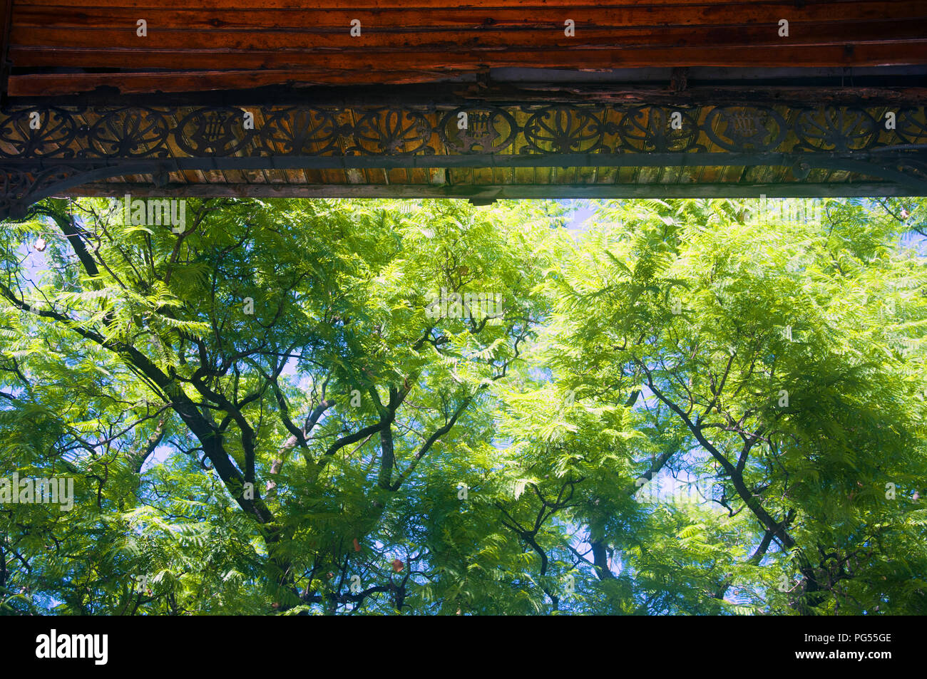 Teil von Braun Pavillon Dach innen und grüne Bäume, Sommer, Spanien Stockfoto