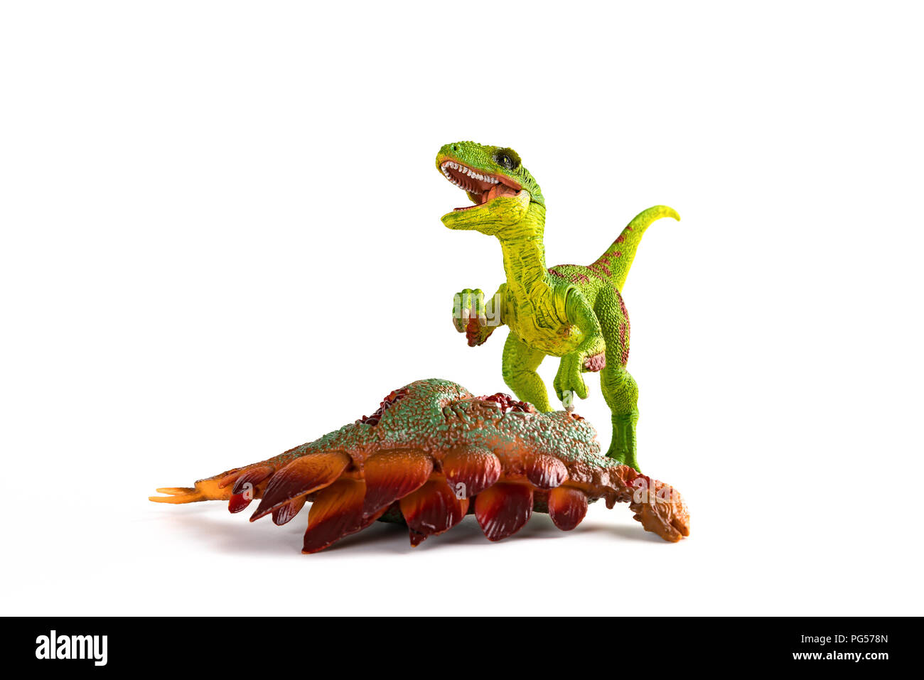 Vorderansicht velociraptor mit einem stegosaurus Körper in der Nähe auf weißem Hintergrund Stockfoto