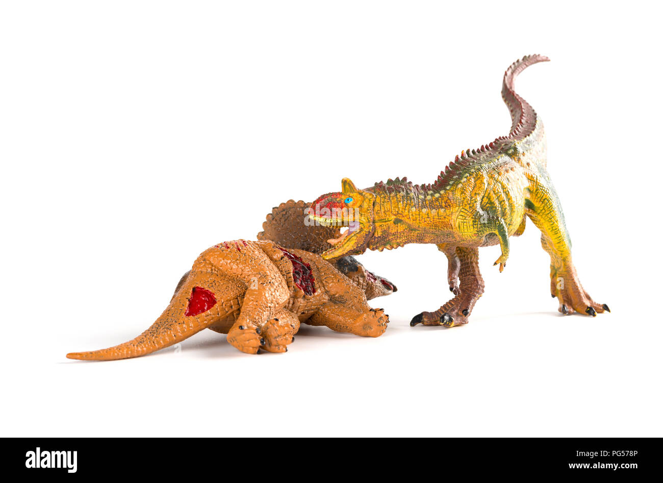 Carnotaurus mit einem triceratops Körper in der Nähe auf weißem Hintergrund Stockfoto