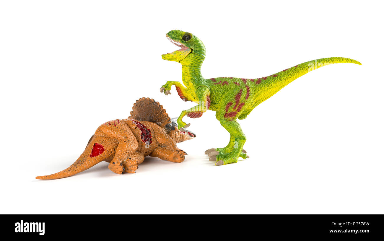 Velociraptor mit einem triceratops Körper in der Nähe auf weißem Hintergrund Stockfoto