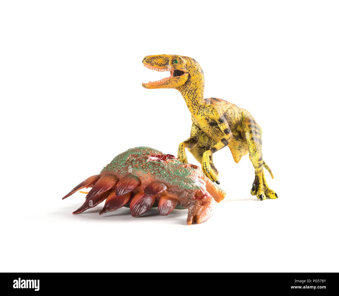 Velociraptor mit einem stegosaurus Körper in der Nähe auf weißem Hintergrund Stockfoto