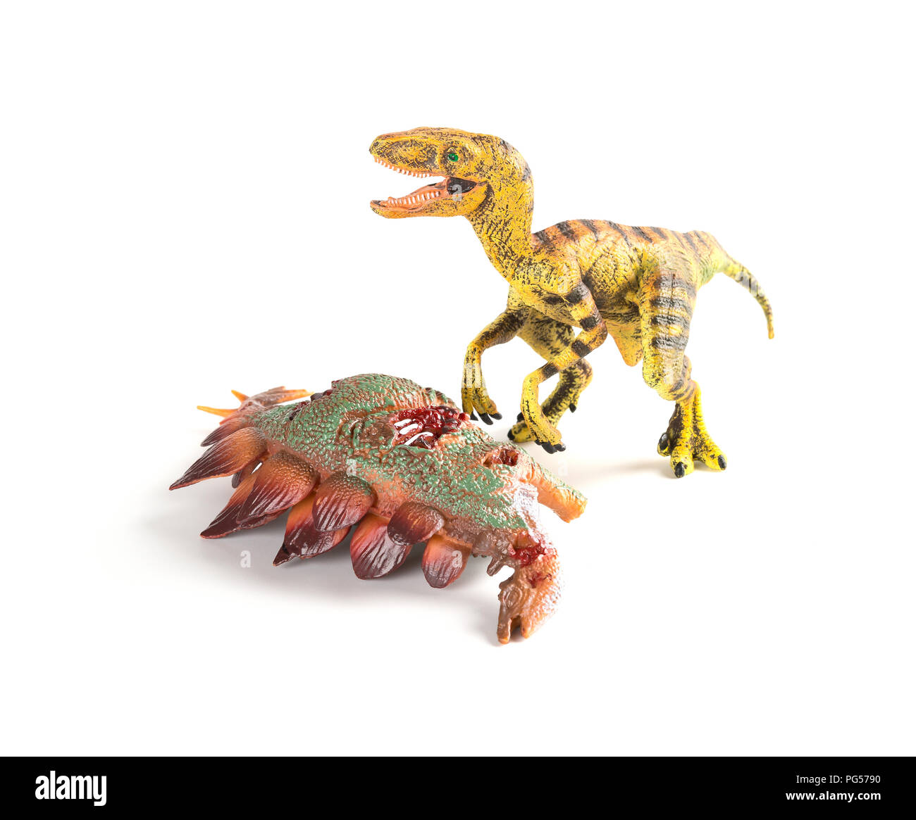 Velociraptor mit einem stegosaurus Körper in der Nähe auf weißem Hintergrund Stockfoto