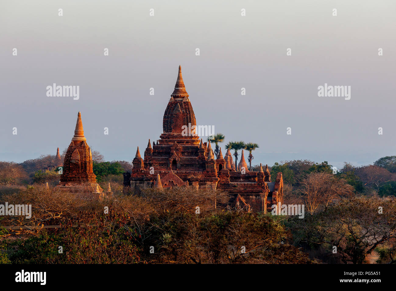 Die Tempel von Bagan nach Sonnenuntergang, Myanmar (Birma) Bagan. Die ehemalige Hauptstadt des Königreichs Baganof (9. bis 13. Jahrhundert). Stockfoto