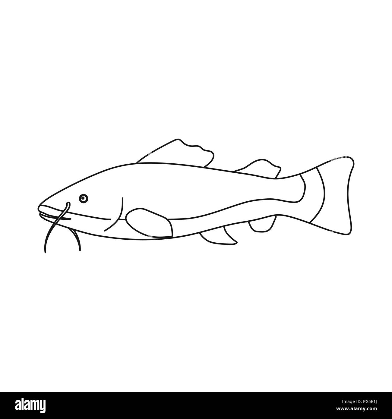 Amazon Catfish Stockfotos und -bilder Kaufen - Seite 2 - Alamy
