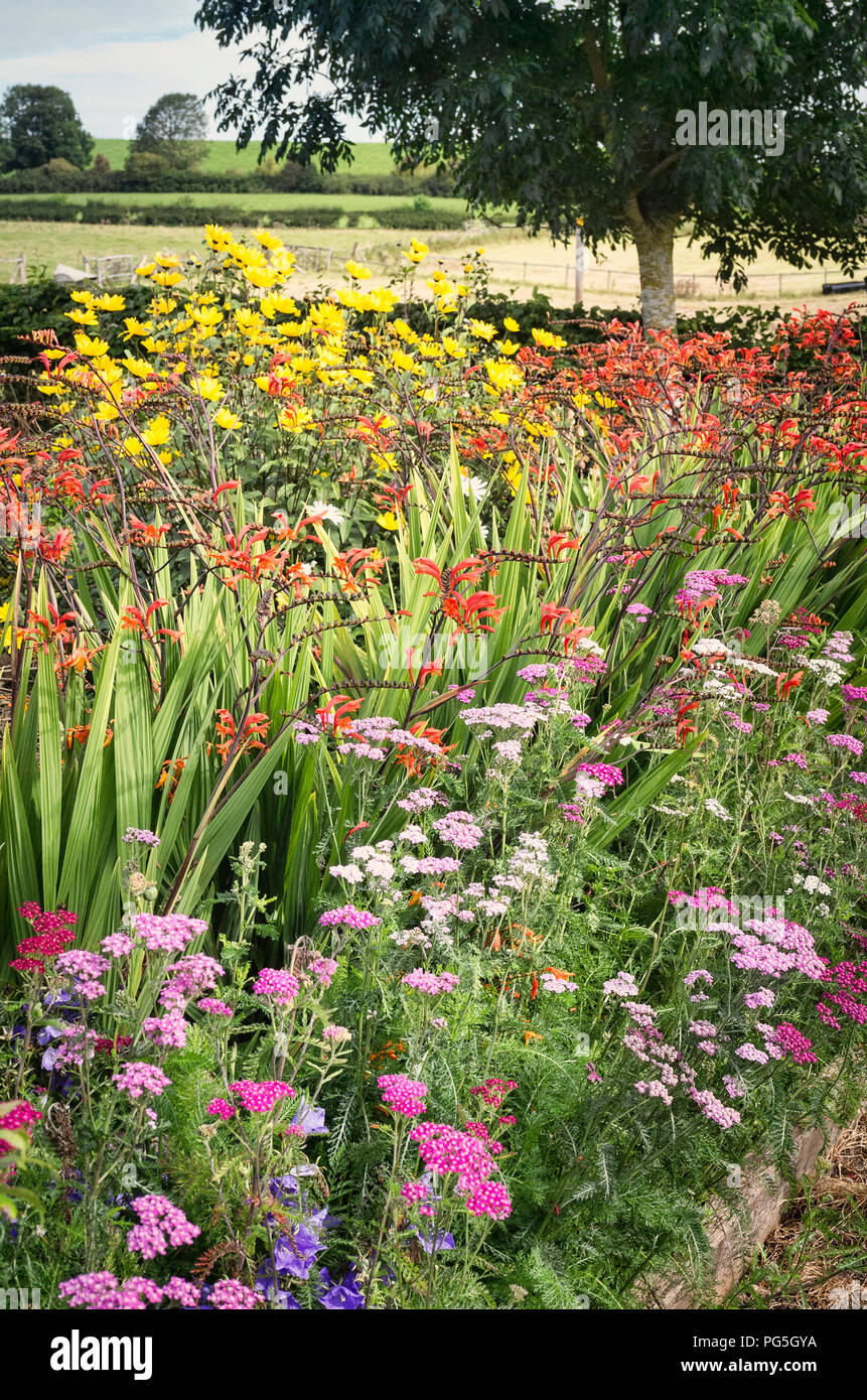 Ein gemischter Garten Grenze von beständigen Blumen zum Schneiden für das Haus in Großbritannien angebaut Stockfoto