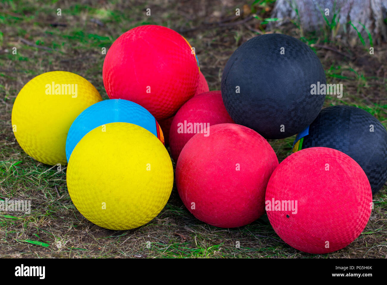 Bunte Basketbälle Kugeln auf der grünen Wiese in der Nähe. Stockfoto