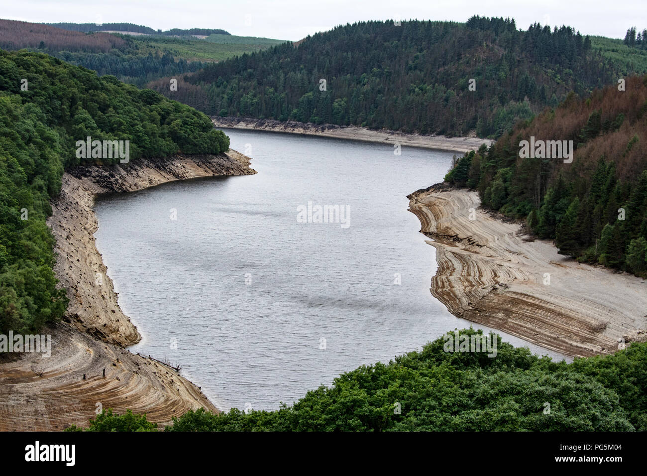 LLyn Brianne Damm Stockfoto