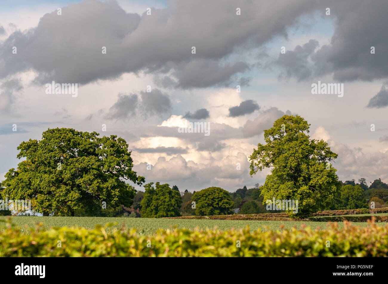 Frühlingssturmwolken über der Landschaft von Warwickshire, England Stockfoto