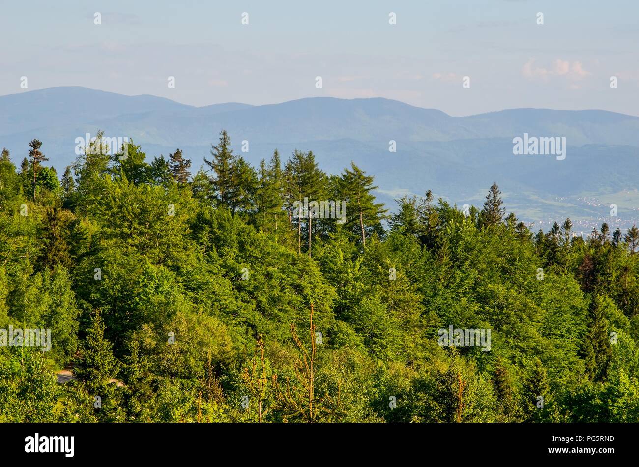 Feder Berglandschaft. Eine schöne Aussicht auf die grünen Hügel. Stockfoto