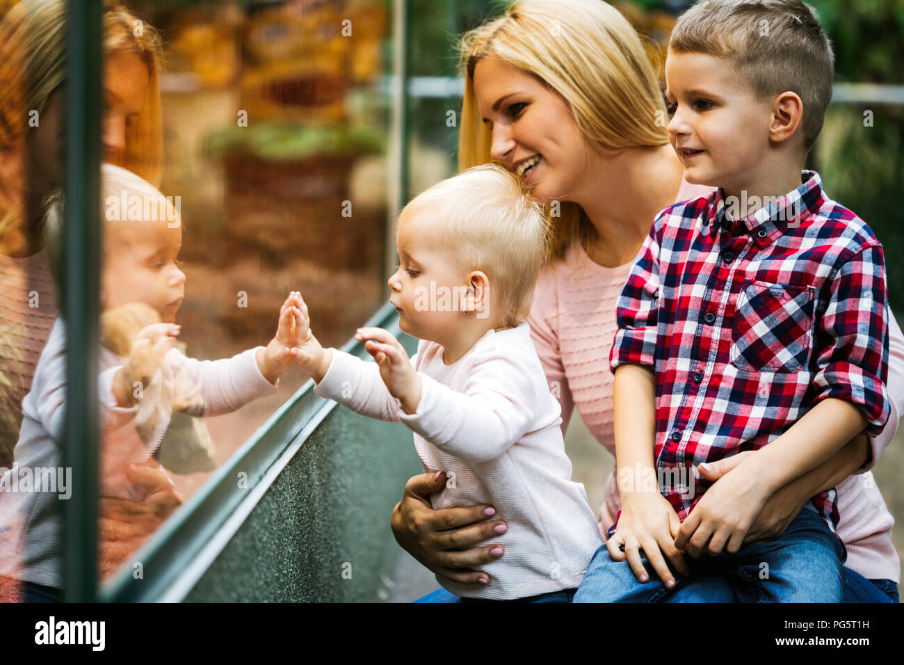 Die Mutter mit dem kleinen Mädchen und Jungen schauen durch Schaufenster Stockfoto