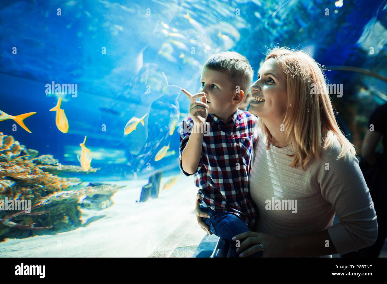Mutter und Kind beobachten, Sea life Stockfoto