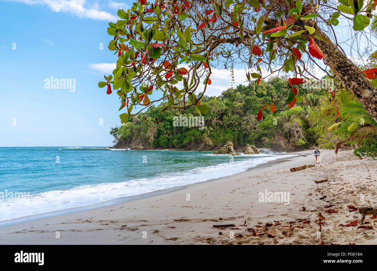 Strand, Corcovado Nationalpark, Halbinsel Osa, Costa Rica. Stockfoto