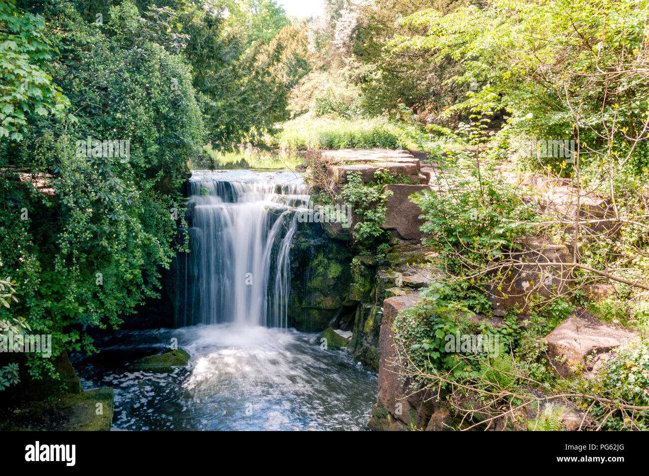 Ein Wasserfall und Büschen und Hecken im Jesmond Dene, Newcastle, England Stockfoto