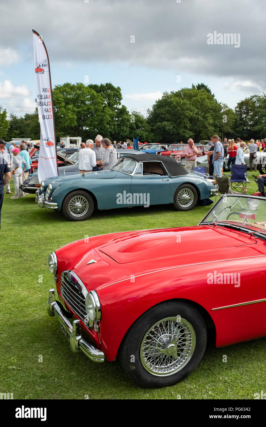 Swallow Doretti und Jaguar XK 140 Bei einem Oldtimertreffen in Wales. Stockfoto