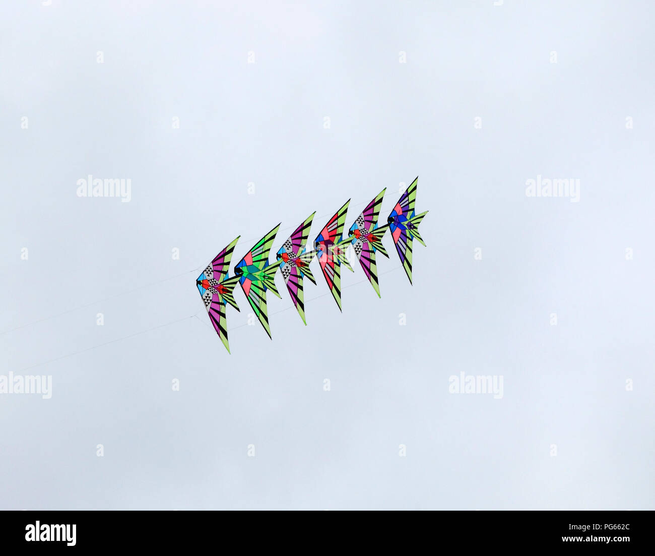 Drachen, fliegende, Bildung, Display, mit mehreren Farben, Farben, Farben, Himmel, Vögel Stockfoto