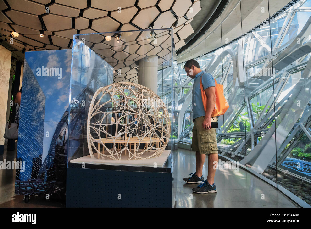 Unterwuchs, eine Ausstellung für Besucher über Amazon Sphären, Seattle, Washington, USA Stockfoto