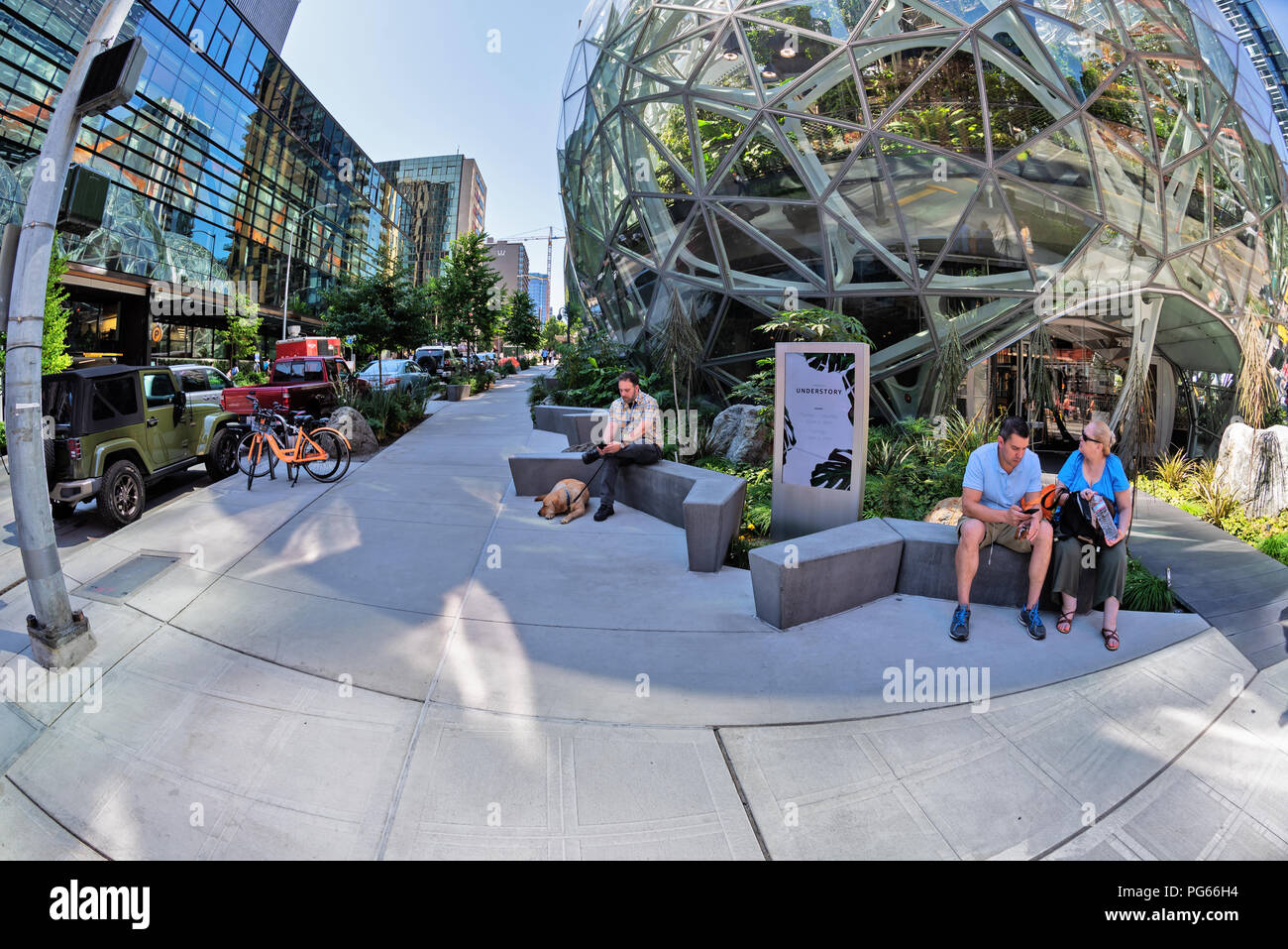 Unterwuchs, eine Ausstellung für Besucher über Amazon Sphären, Seattle, Washington, USA Stockfoto