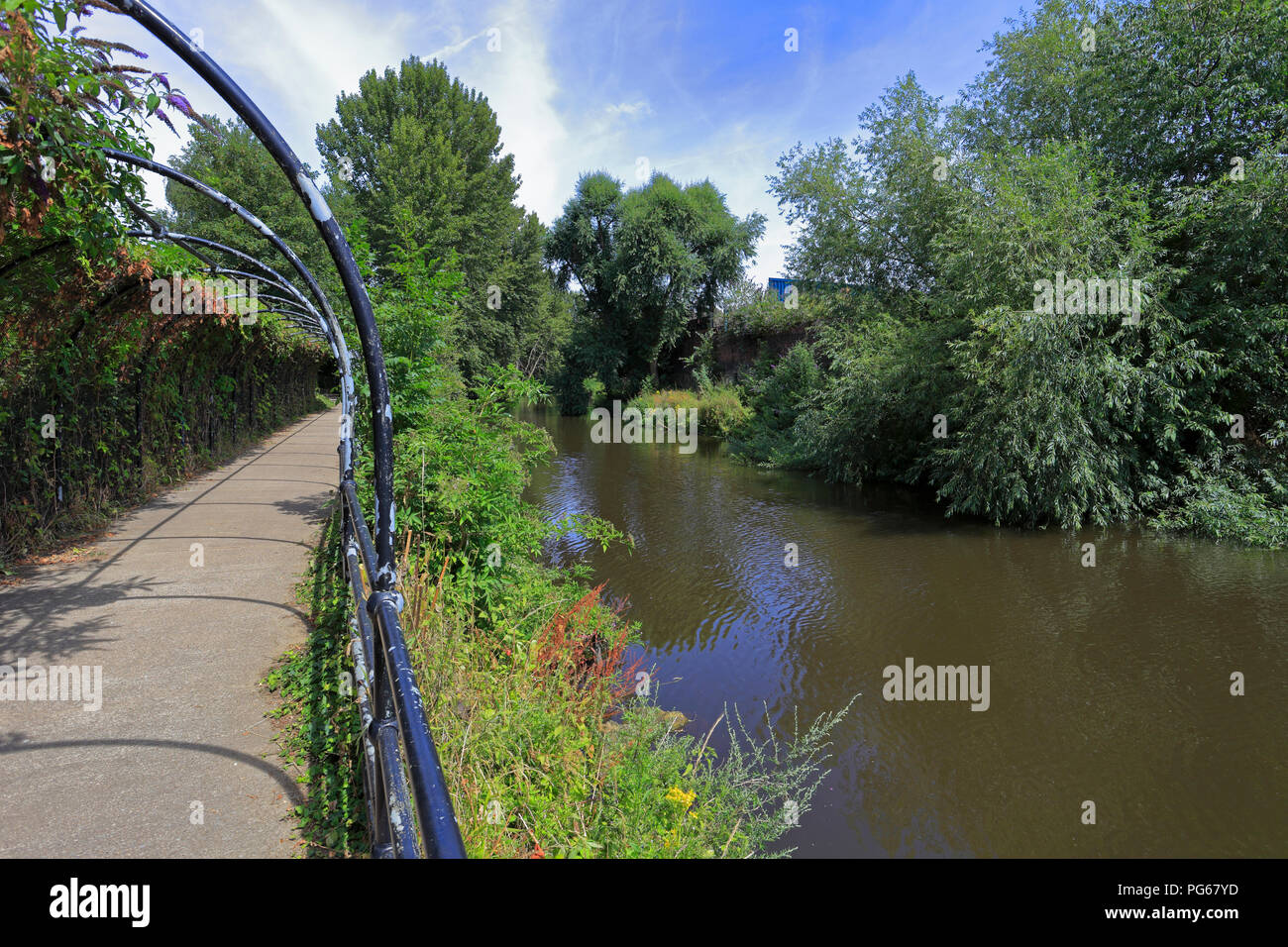 Ein Abschnitt der Fünf Wehre Spaziergang am Fluss Don, Sheffield, South Yorkshire, England, UK. Stockfoto