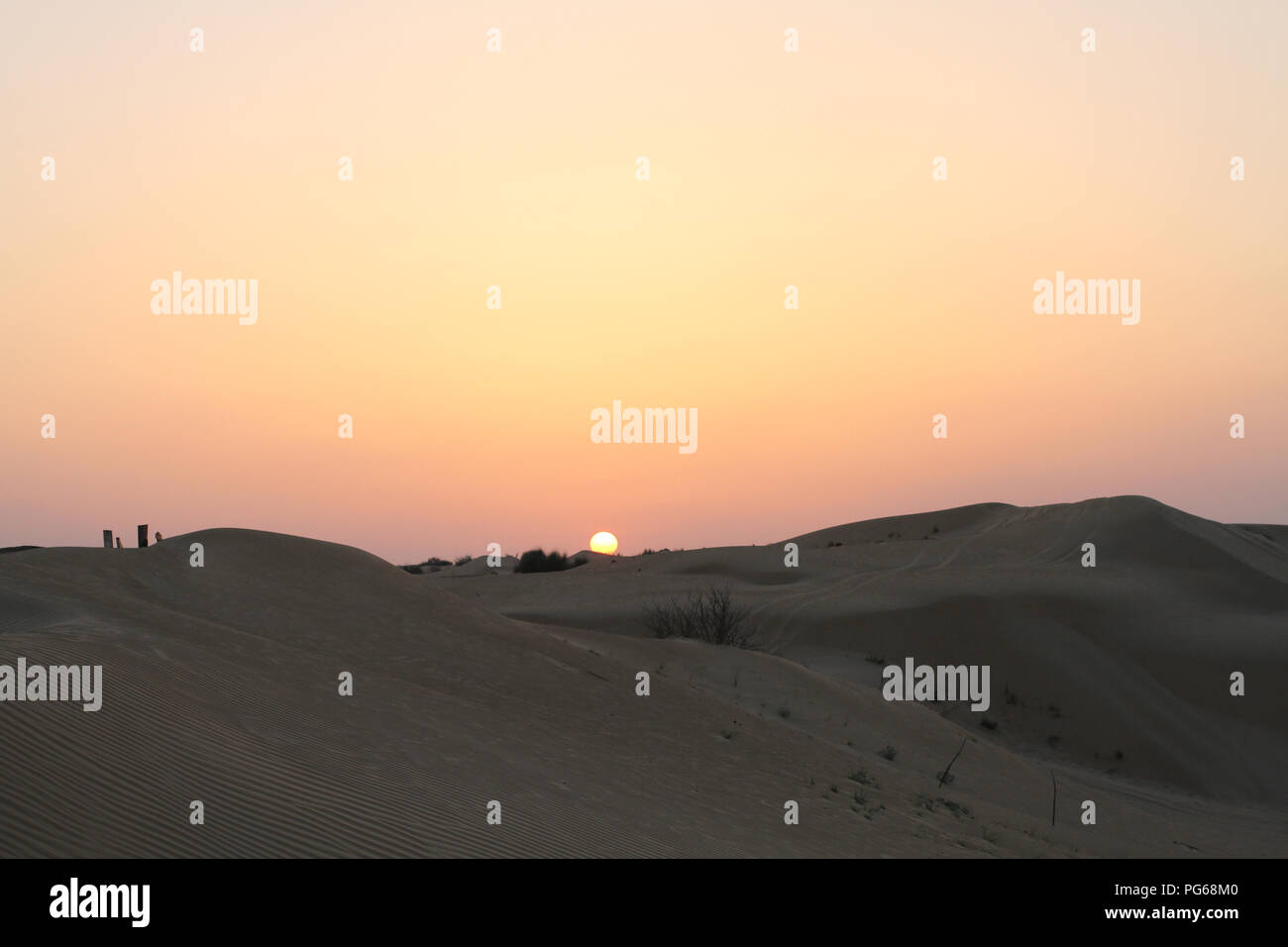 Sonnenuntergang in der Wüste. Sanddünen und rosa Himmel Stockfoto