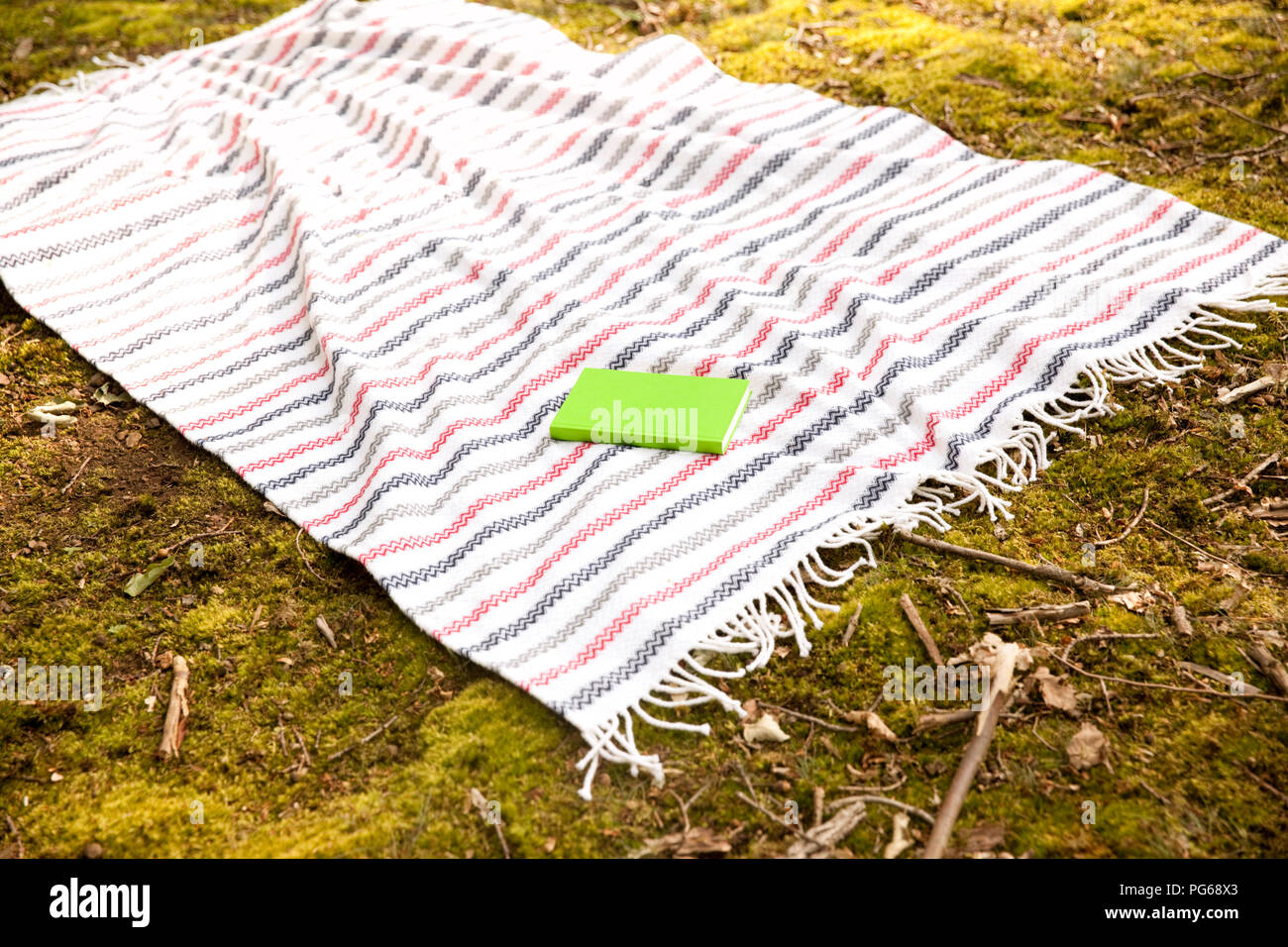 Buchen Sie liegen auf Decke im Wald Stockfoto