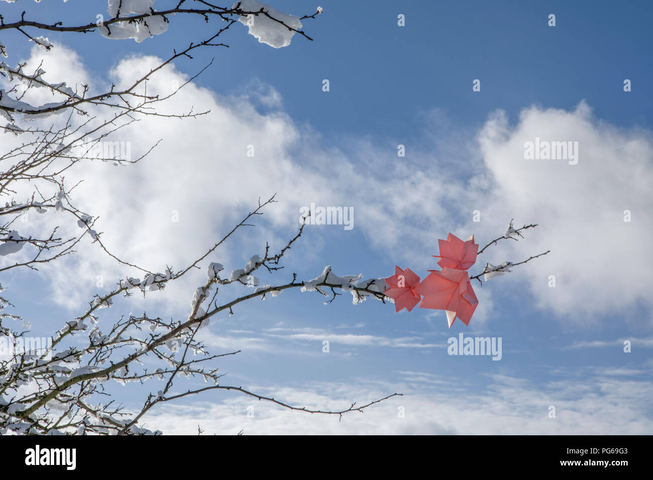 Origami Blumen auf Zweige im Winter Stockfoto