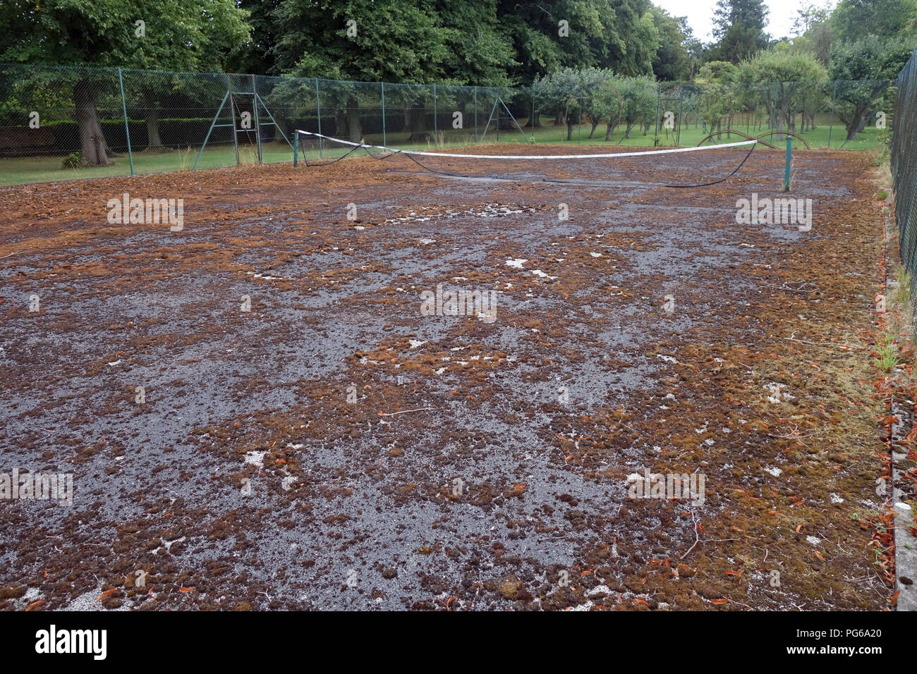 Stillgelegte Tennisplatz in schlechtem Zustand Stockfoto