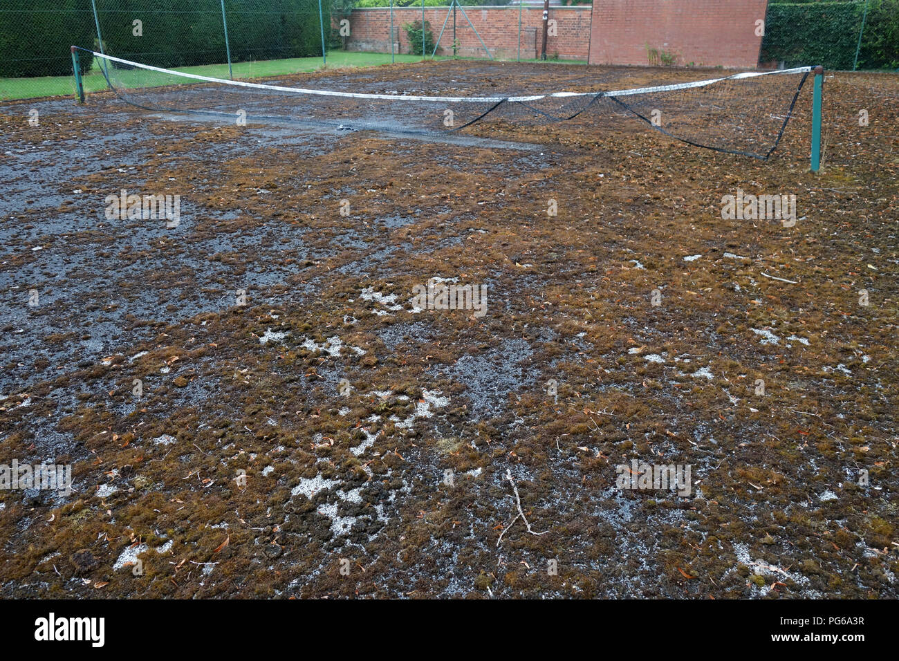 Stillgelegte Tennisplatz in schlechtem Zustand Stockfoto