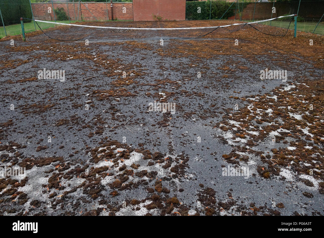 Stillgelegte Tennisplatz in schlechtem Zustand Stockfoto