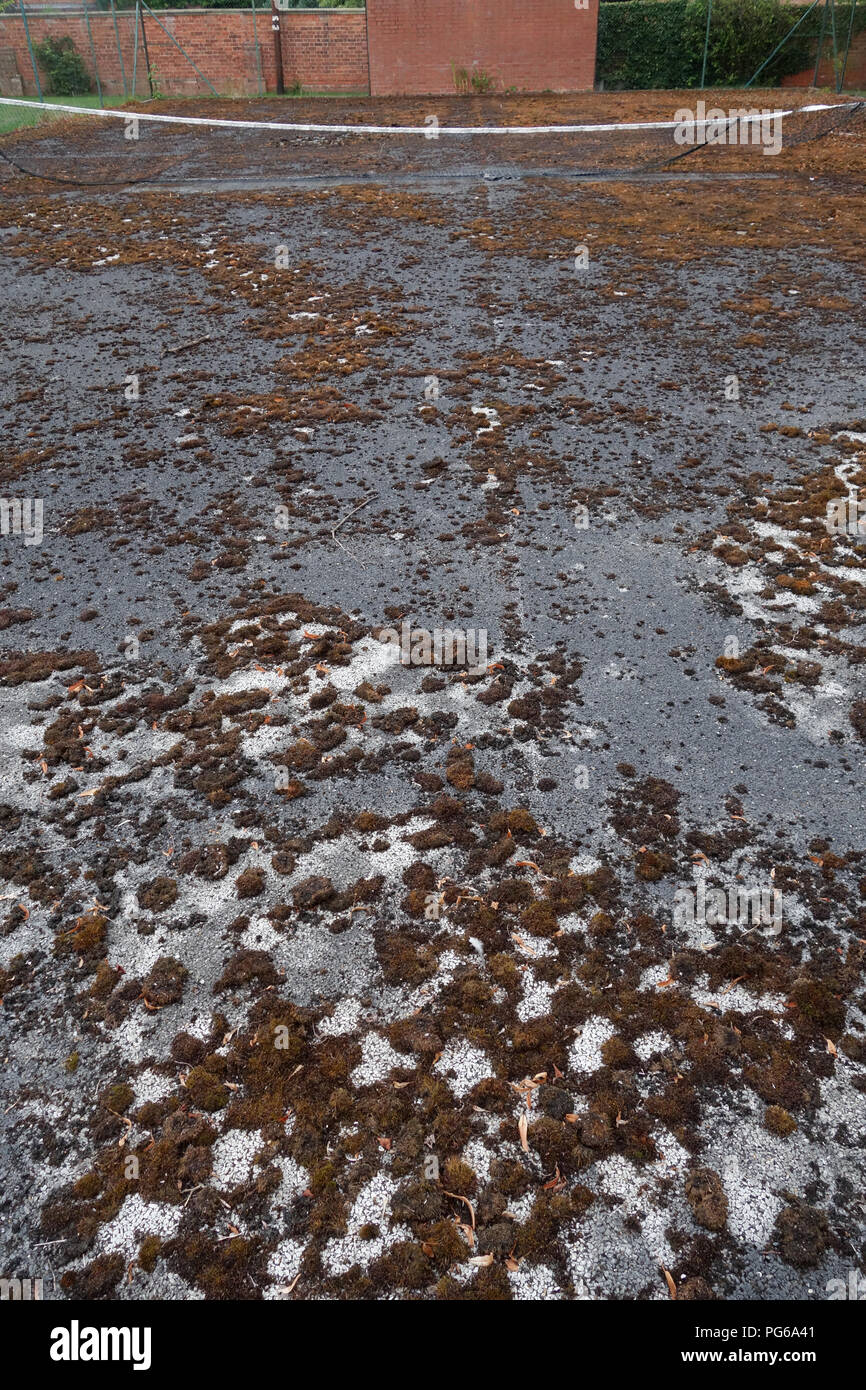 Stillgelegte Tennisplatz in schlechtem Zustand Stockfoto