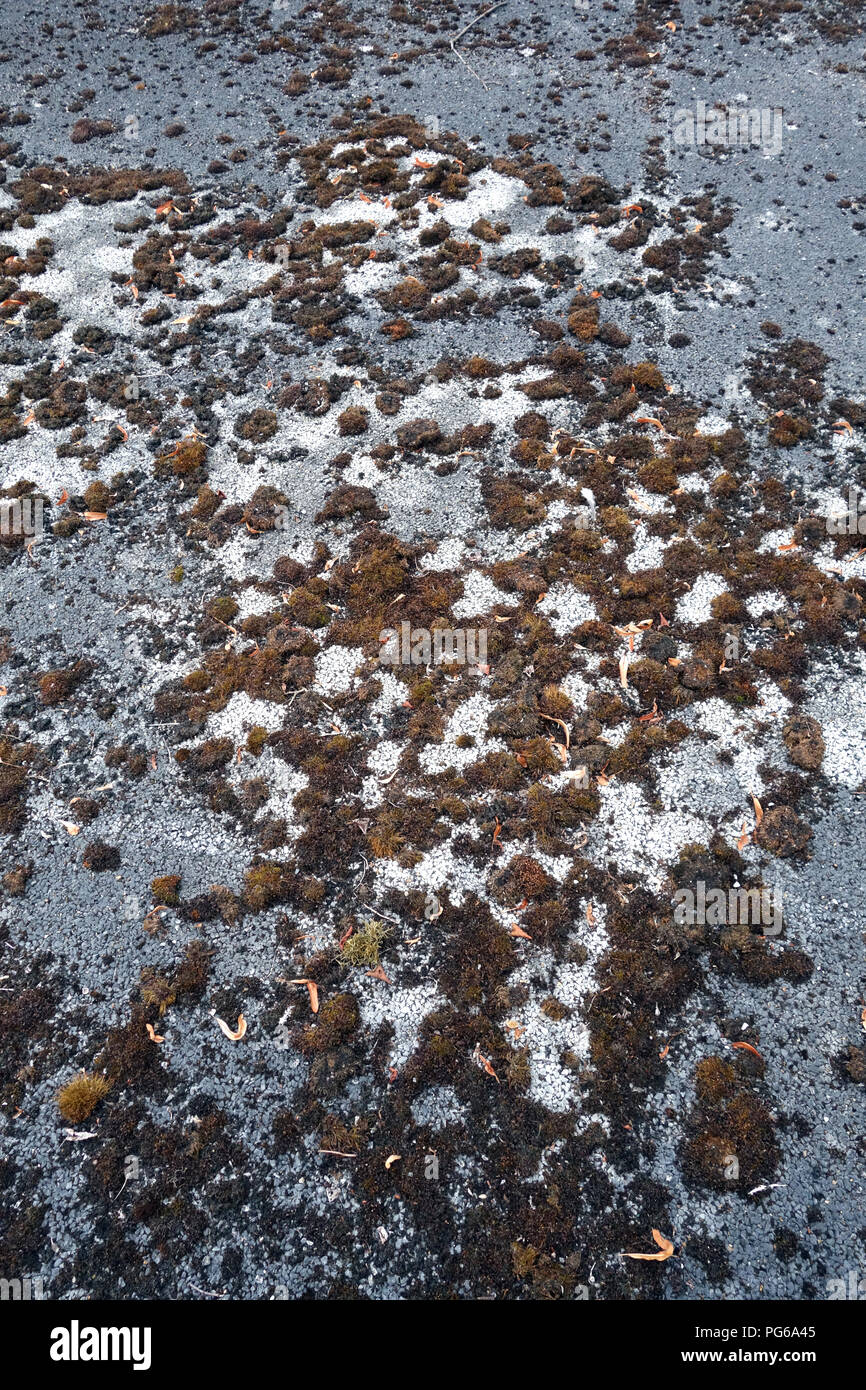 Stillgelegte Tennisplatz in schlechtem Zustand Stockfoto