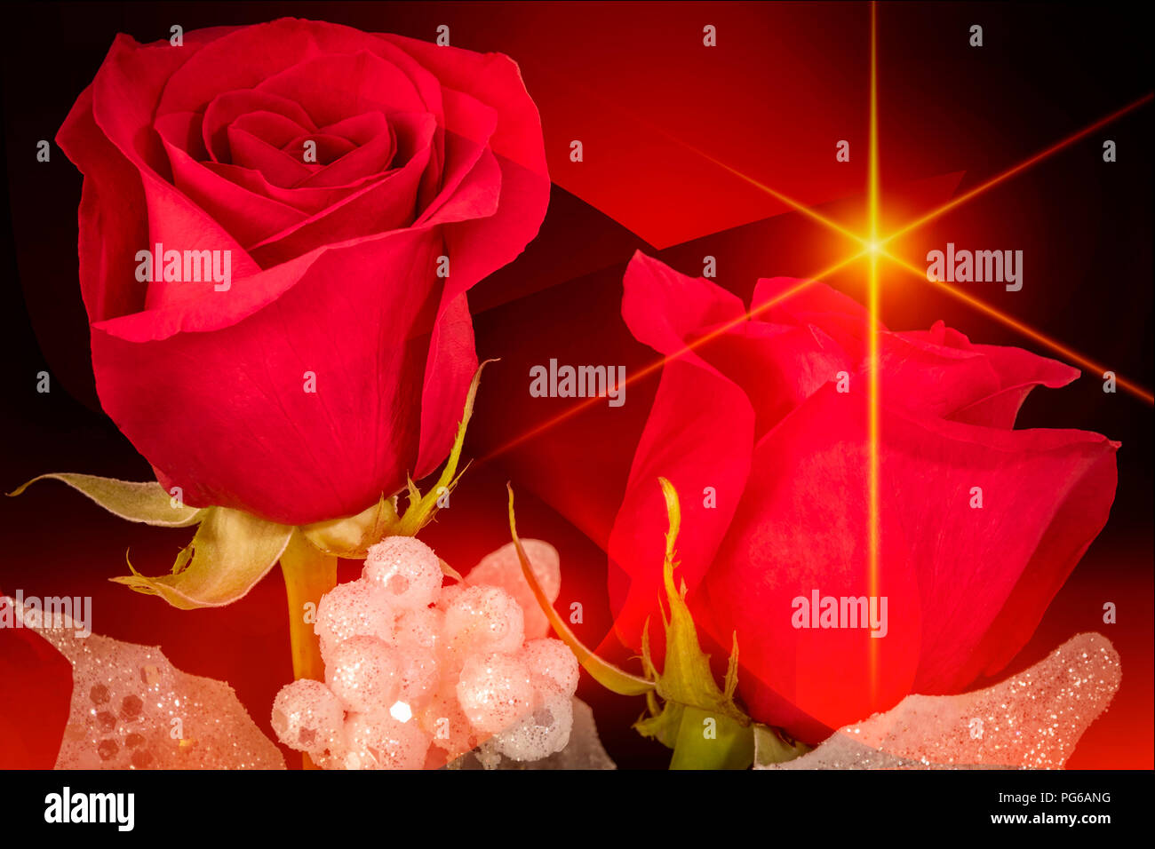 Zwei rote Rosen mit Glitzer Dekoration mit einem roten und schwarzen Hintergrund & gelber Stern Stockfoto