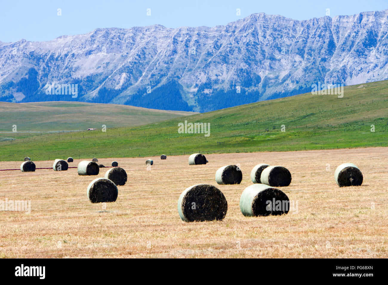 Ballen Heu in einem Feld mit der Kanadischen Rockies im Hintergrund in der Nähe von Lundbreck, Alberta, Kanada. Stockfoto