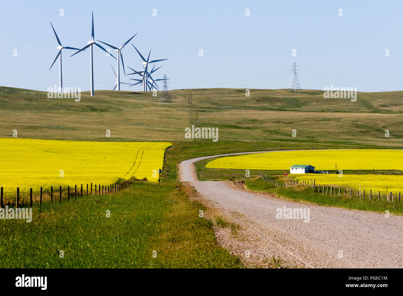 Windenergieanlagen Energieerzeugung im Rapsfeld in Blüte in der Nähe von Pincher Creek, Alberta, Kanada. Stockfoto
