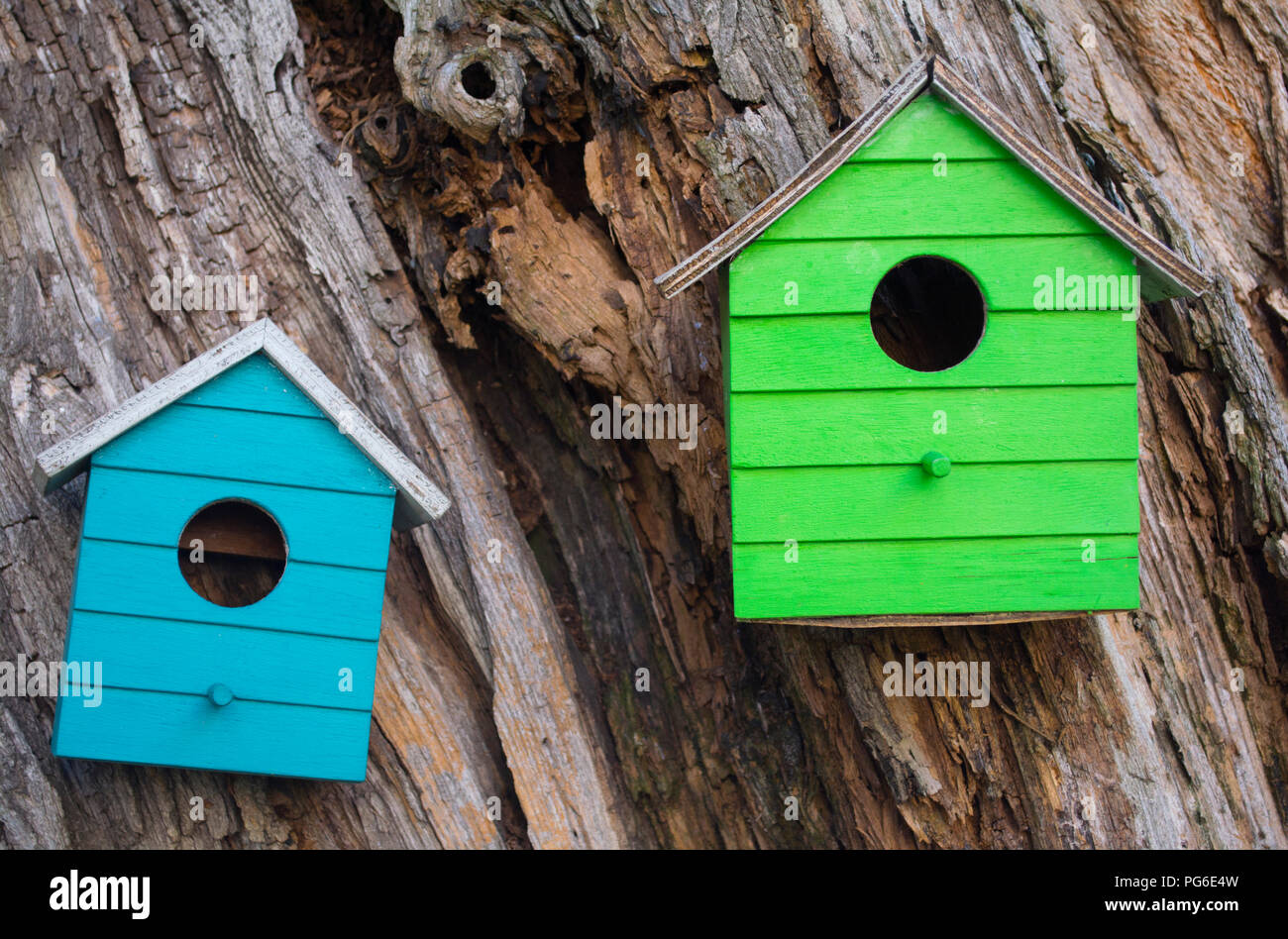 Vielen bunte Vogelhäuschen aus Holz auf einem Baum Körper
