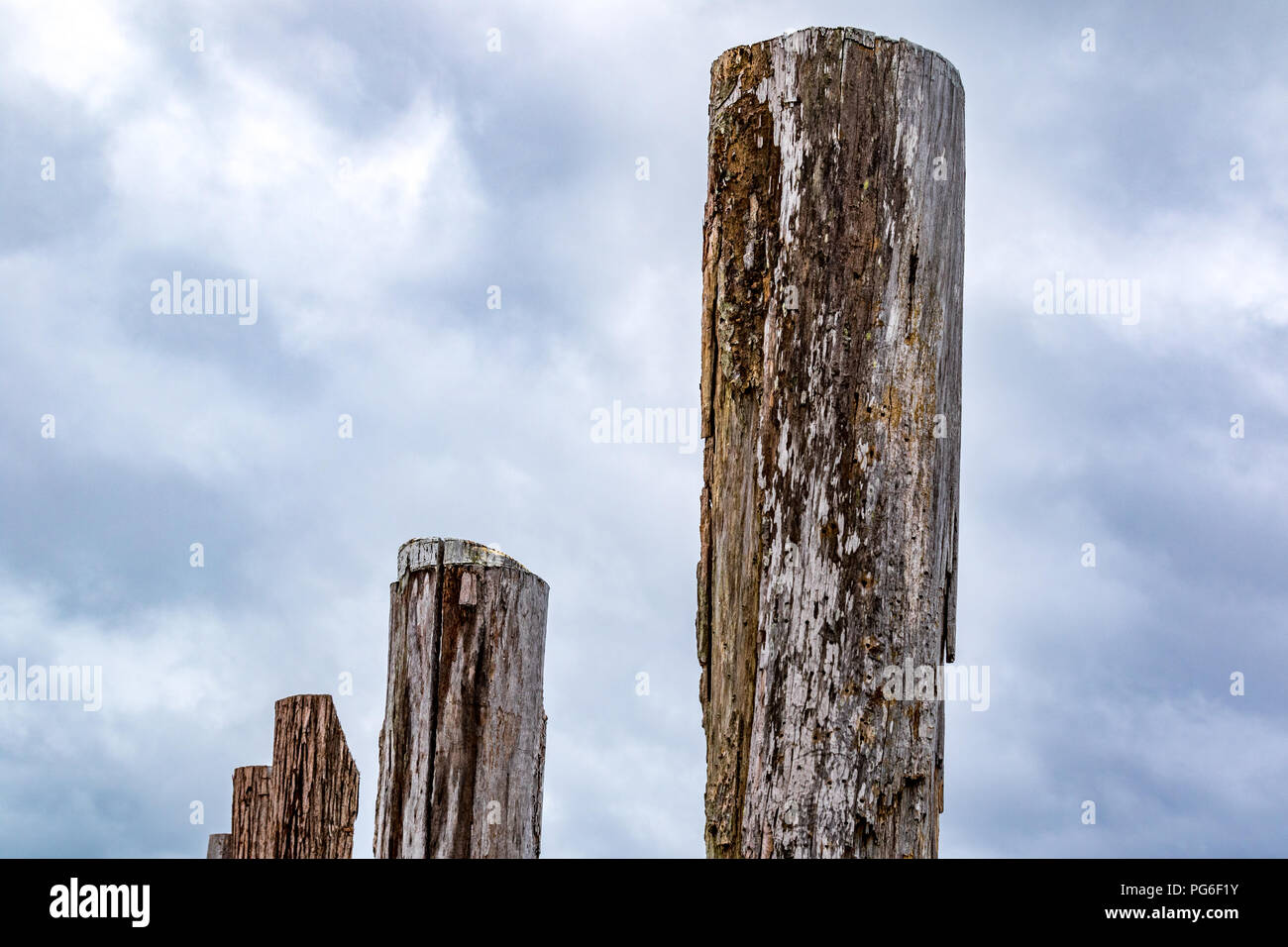 In der Nähe von Steg Holz Masten Stockfoto
