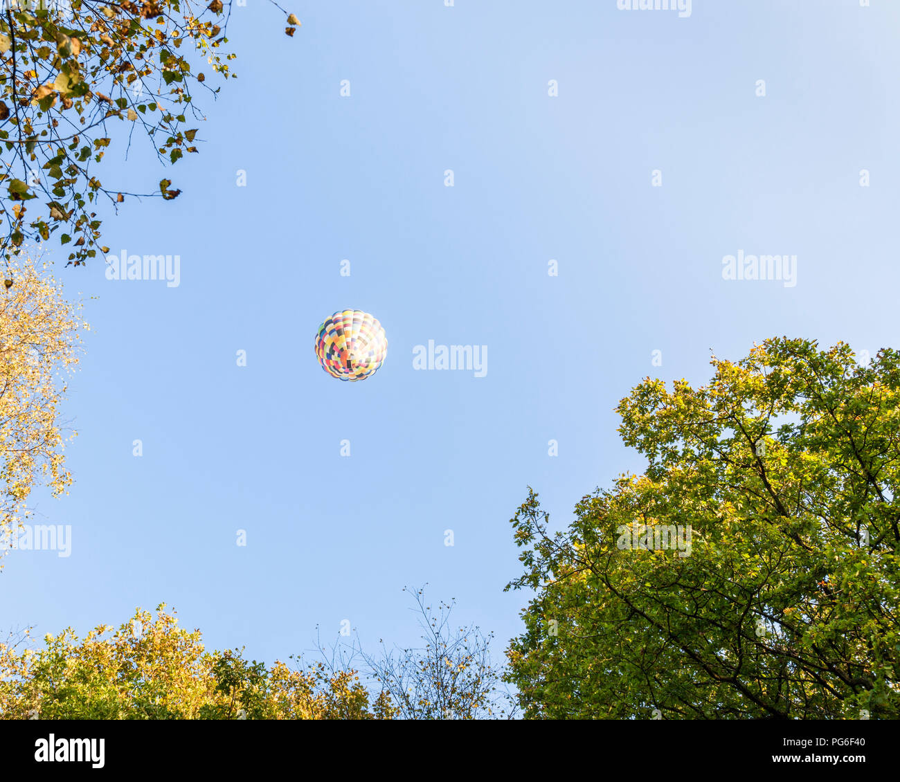 Ballonfahrten über Bäume im Herbst, Derbyshire, England, Großbritannien Stockfoto