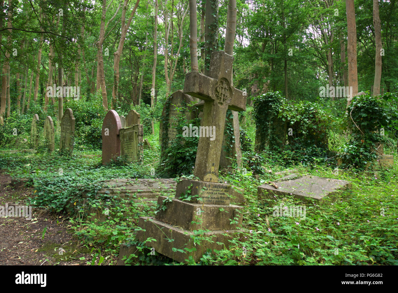 Überwuchertes Grab in London Highgate Cemetery Stockfoto