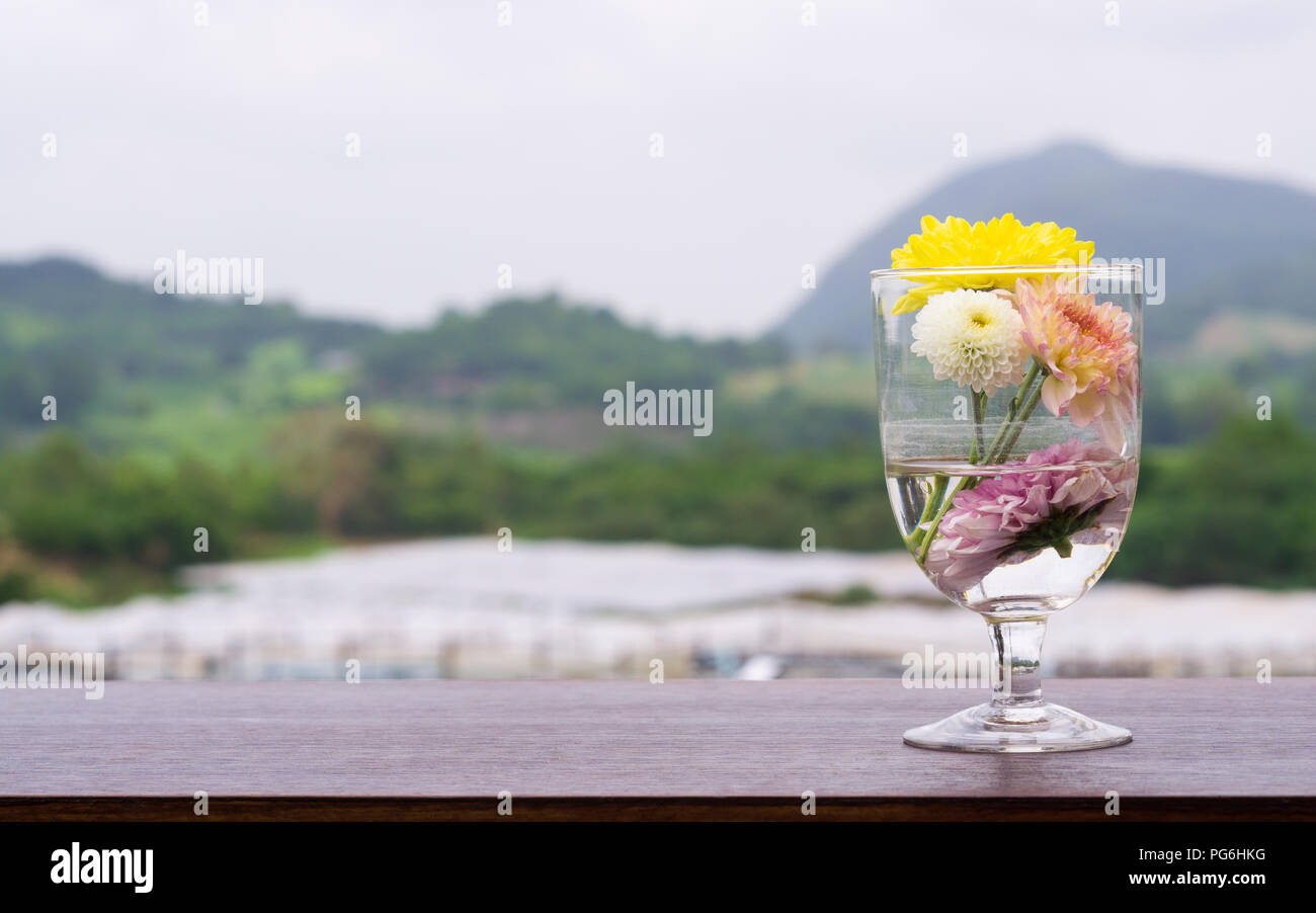 Blumenstrauß aus Chrysanthemen in Glas Glas auf Holztisch mit Bergen im Hintergrund. Vase auf dem Tisch outdoor Dekoration an Bigtae chrysanthemum flower Farm, Stockfoto
