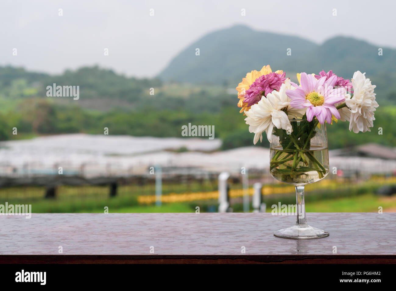 Blumenstrauß aus Chrysanthemen in Glas Glas auf Holztisch mit Bergen im Hintergrund. Vase auf dem Tisch outdoor Dekoration an Bigtae chrysanthemum flower Farm, Stockfoto
