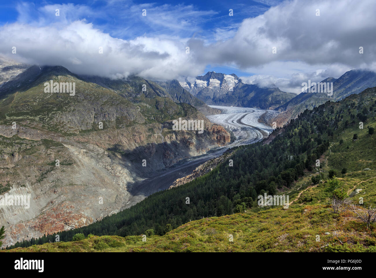 Blick auf den Aletschgletscher in der Schweiz Stockfoto
