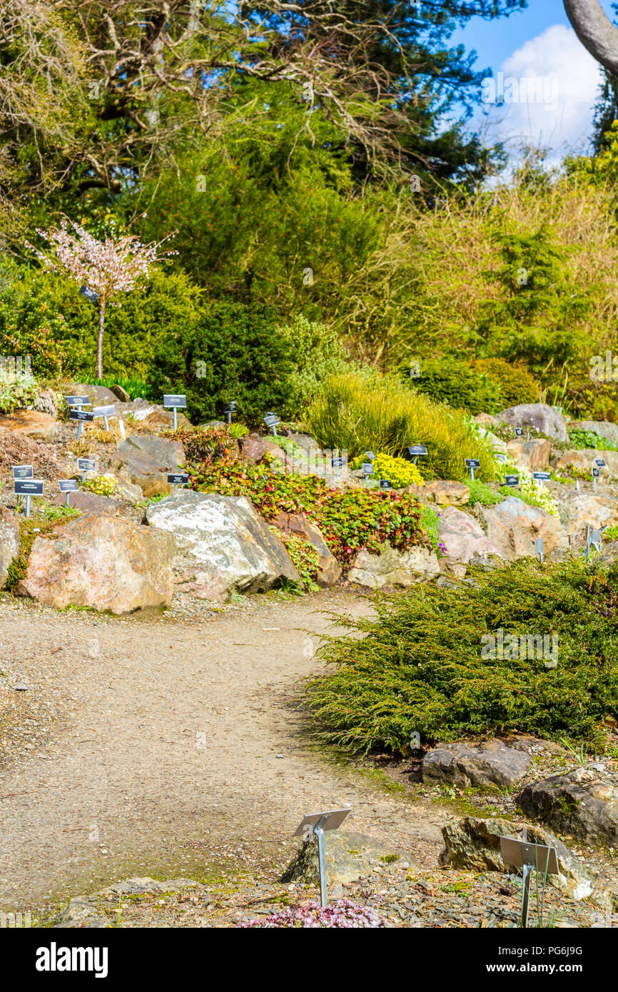 Viele mehrfache beschriftete Anlagen mit Tags, Karten, Etiketten, botanischen Gärten glasnevin Dublin Irland Stockfoto