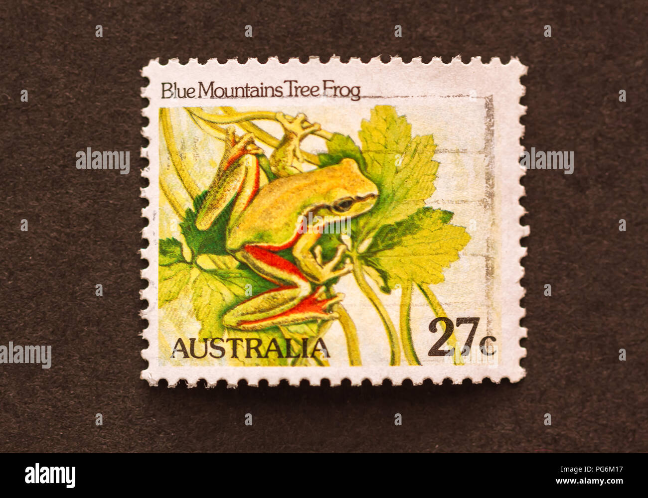 Verwendet der Australischen Briefmarke zeigt eine Blue Mountain Tree Frog ( Stockfoto
