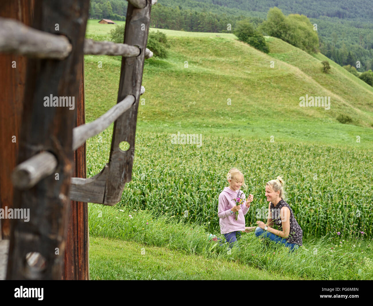 Glückliche Mutter und Tochter Blumen pflücken in der Landschaft Stockfoto