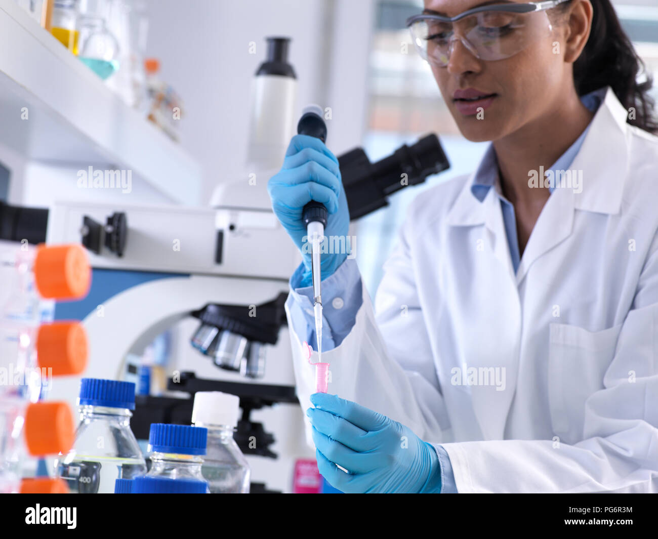Die genetische Forschung, Wissenschaftlerin pipettieren DNA oder chemische Probe in einen Eppendorf Durchstechflasche, die Analyse im Labor Stockfoto