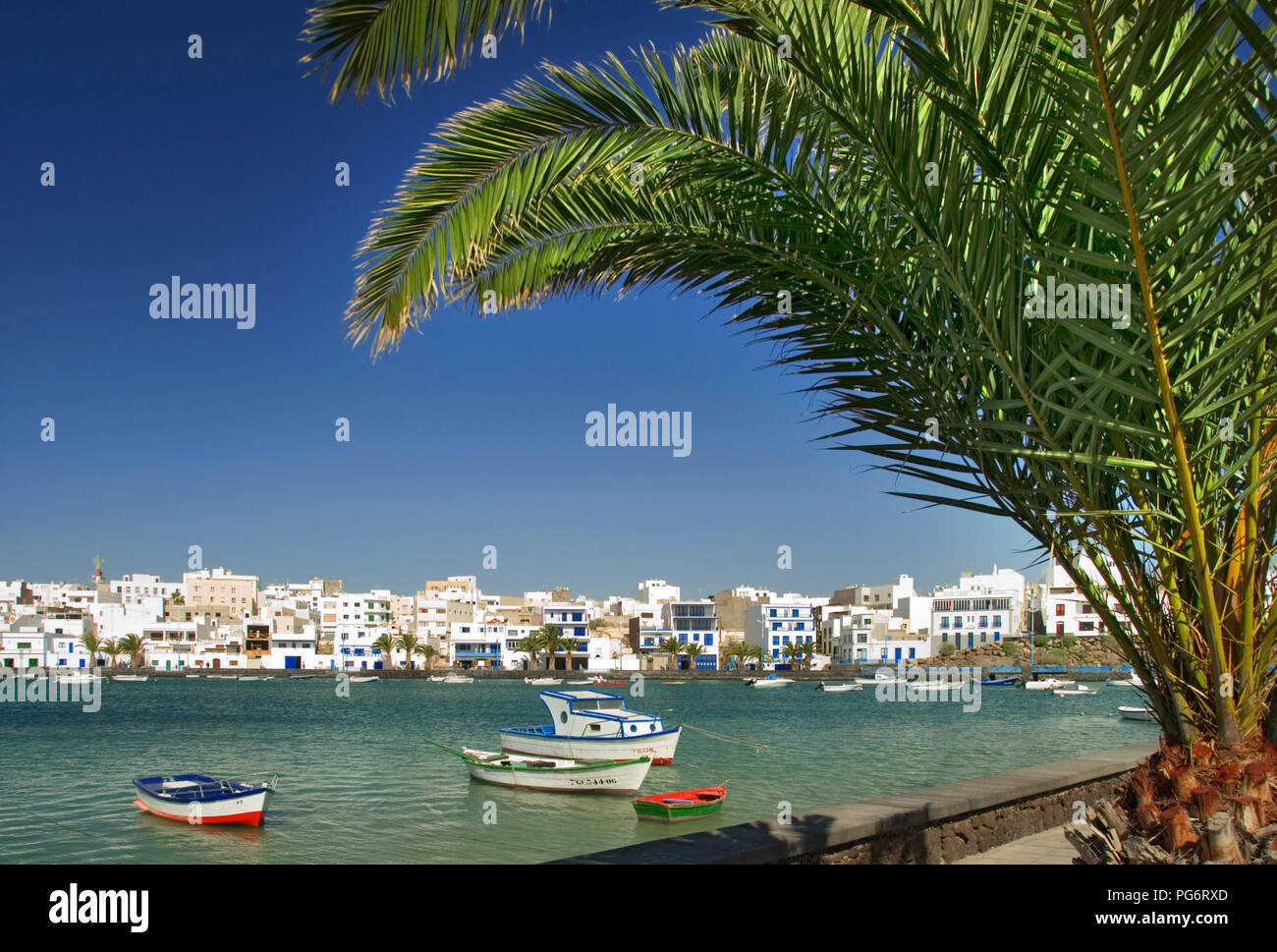 ARRECIFE PALM TREE El Charco de San Gines, einem malerischen Einlass in Arrecife Stadtzentrum mit Restaurants und Boote, Lanzarote, Kanarische Inseln, Spanien Stockfoto