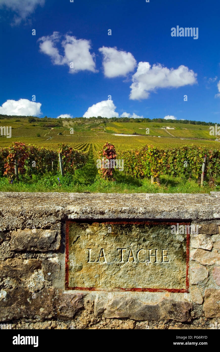 LA TACHE Romanee Conti Vineyard Steintafel, Grenzmauer von La Tache. Domaine de la Romanee-Conti, Vosne Romanee, Cote d'Or, Frankreich Stockfoto