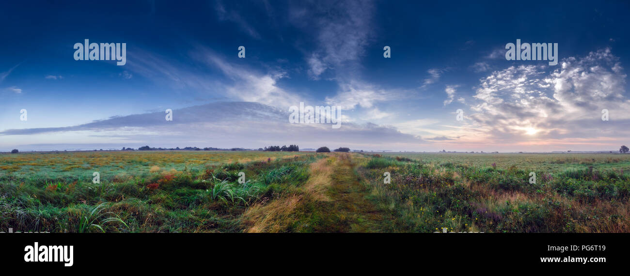 Hochsommer wiese Country Road bei Sonnenaufgang im Teufelsmoor, einem Sumpfgebiet in der Nähe der berühmten Künstlerkolonie Worpswede im Norden Deutschlands Stockfoto