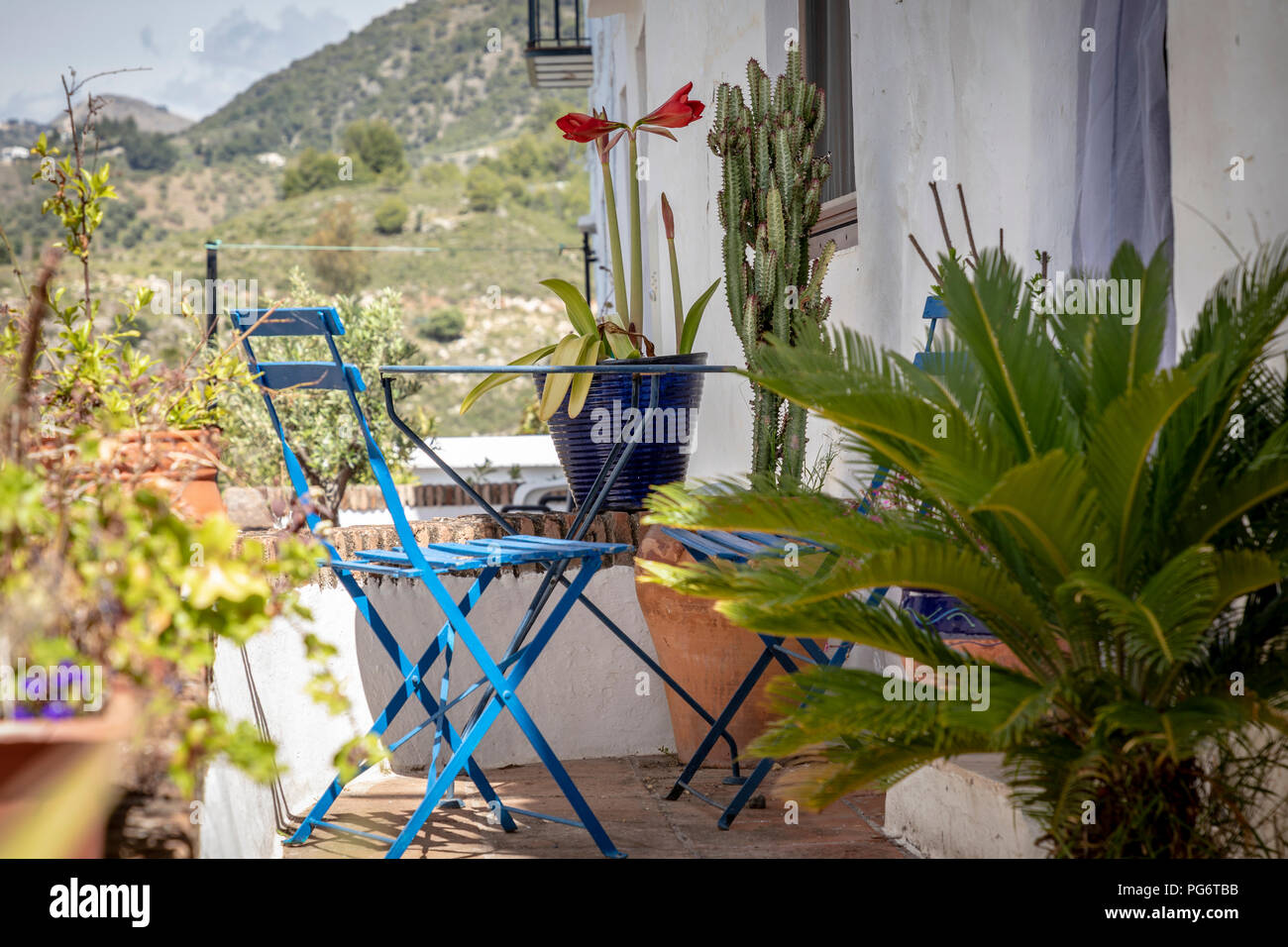 Ansicht in der Straße in Frigiliana, Andalusien, Spanien, Europa Stockfoto