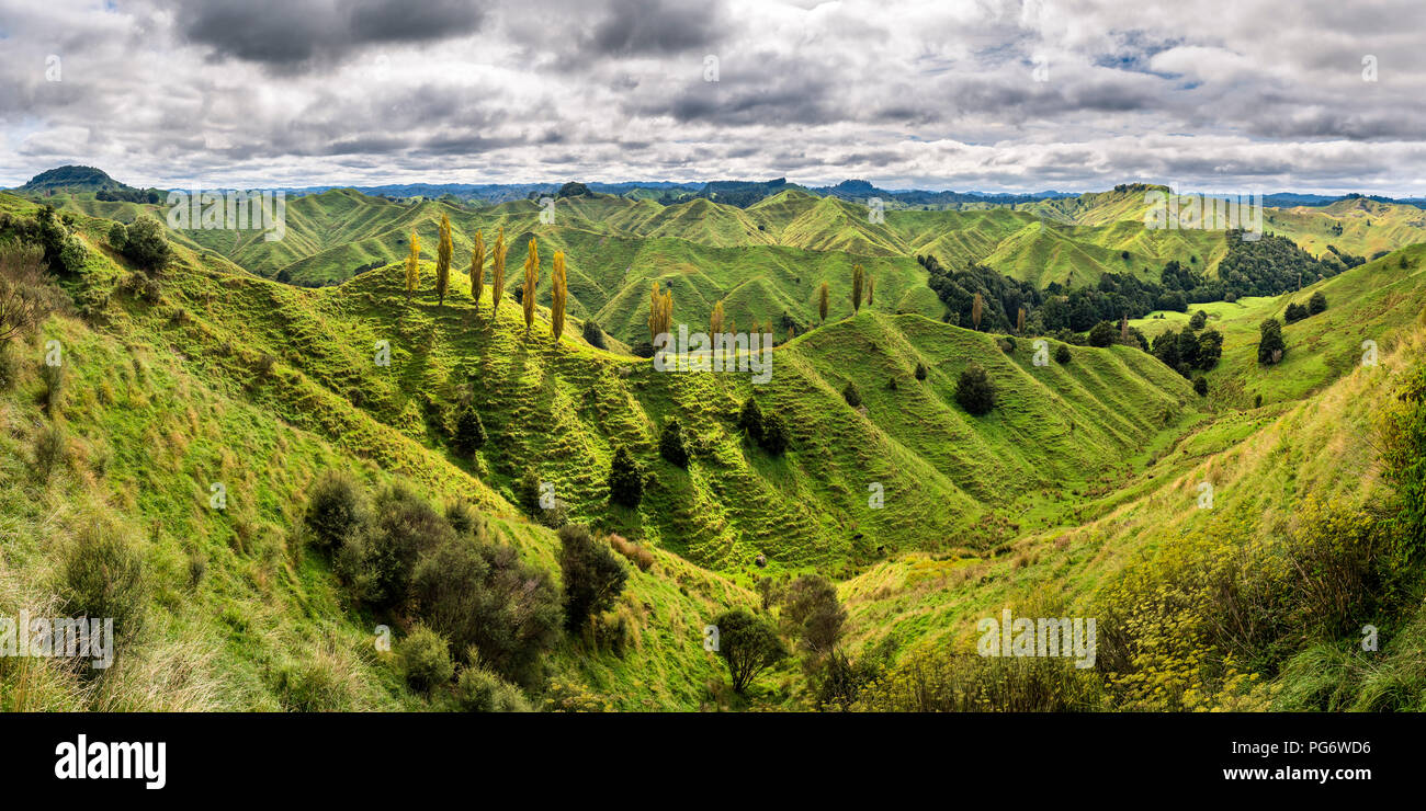 Neuseeland, Nordinsel, Taranaki, Landschaft von Vergessene Welt Autobahn gesehen Stockfoto